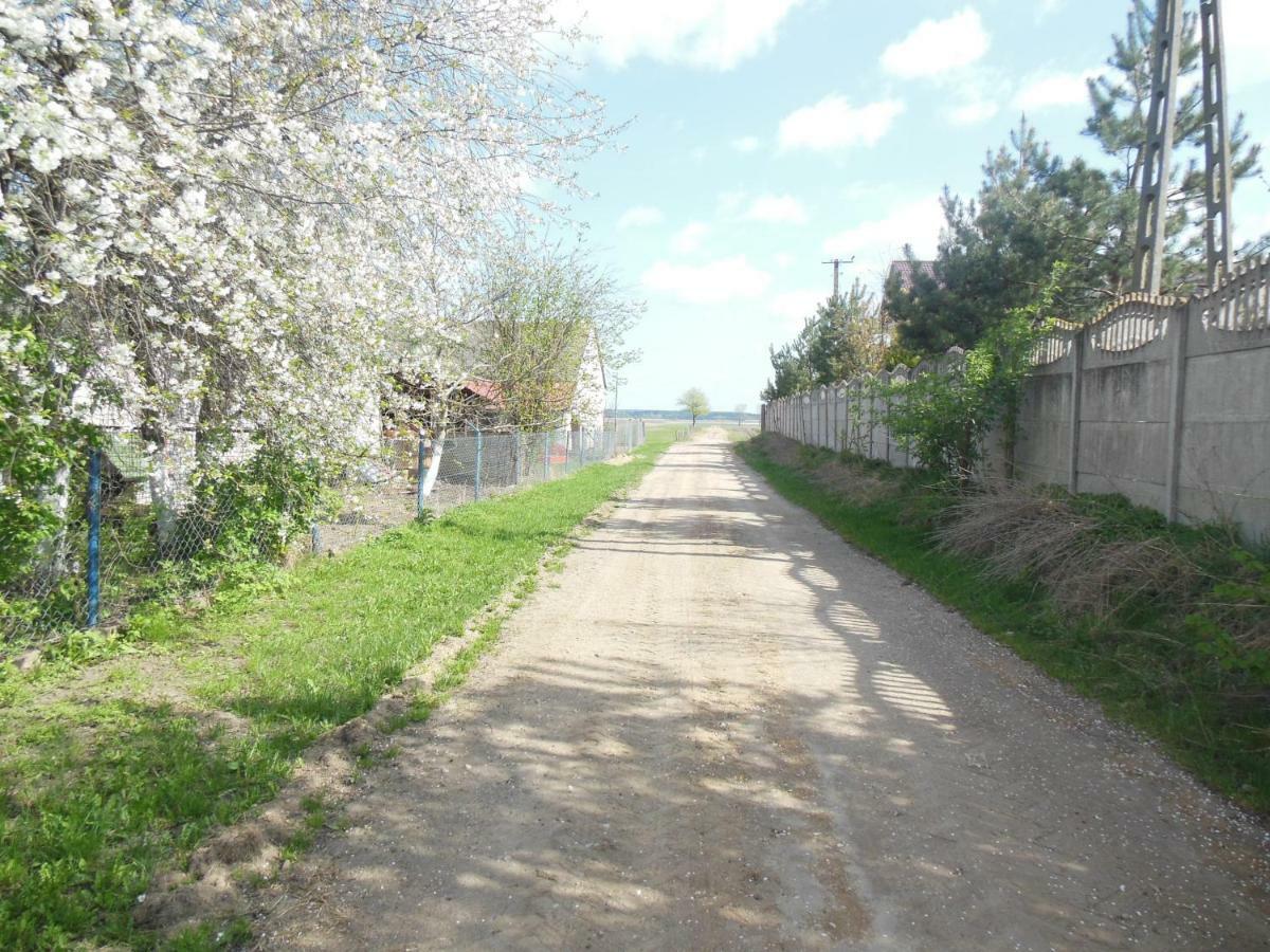 Niezapominajka Jenki Exterior photo