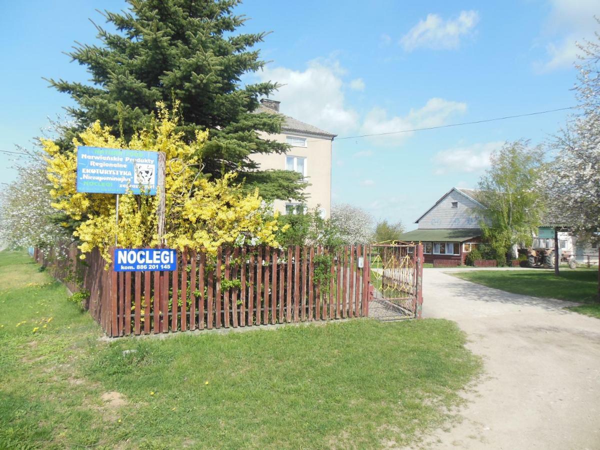 Niezapominajka Jenki Exterior photo